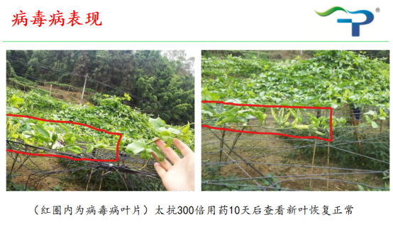 1513319364245790roQX.png blob.png