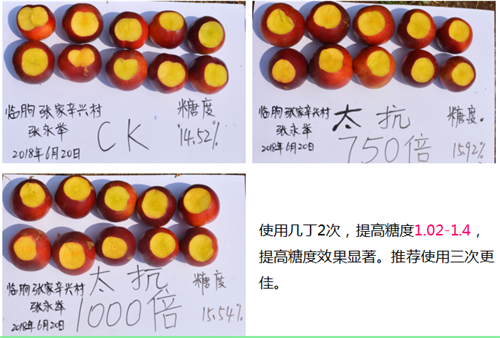 1531215207612082cwpL.png 圖片16.png