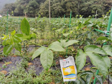 1576542715625171V4Eb.png 圖片4_副本.png