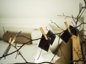 DIY | Tree branch photograph hanger